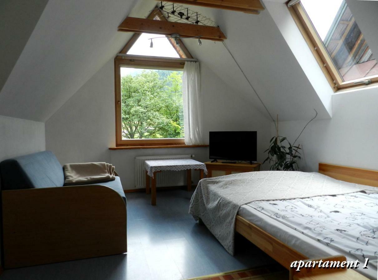 Apartment Mountain View